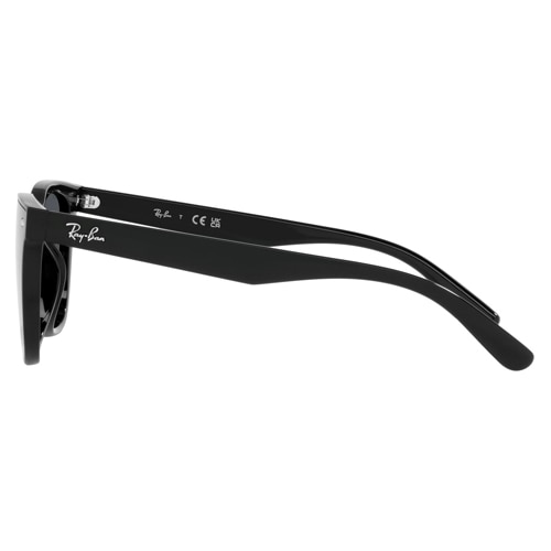 Wayfarer RB4391D 601/87 65