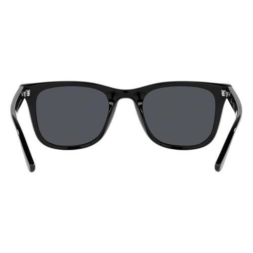 Wayfarer RB4391D 601/87 65