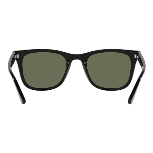 Wayfarer RB4391D 601/9A 65