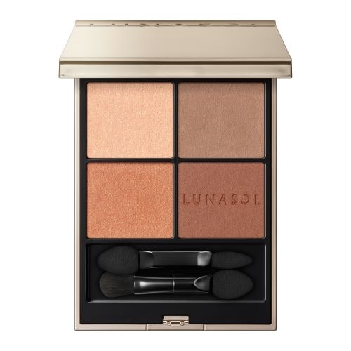 アイカラーレーションN 01