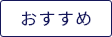 国内未発売